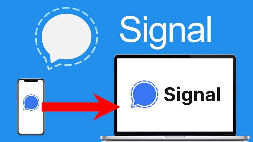 Signal通知关闭教程？